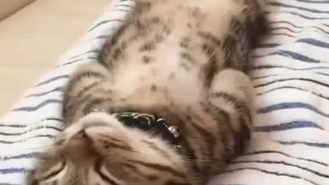 Complete relaxation