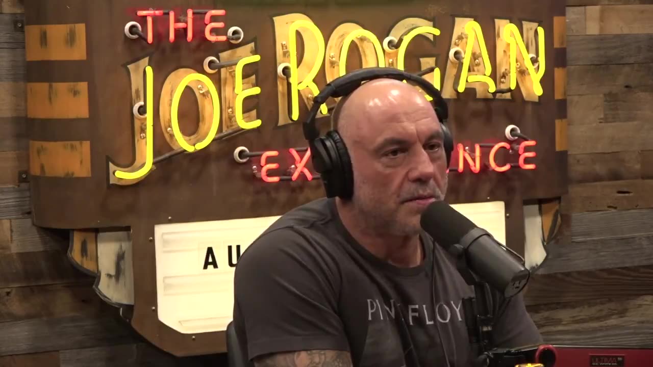 Shawn Ryan believes terrorists are being allowed to infiltrate the US