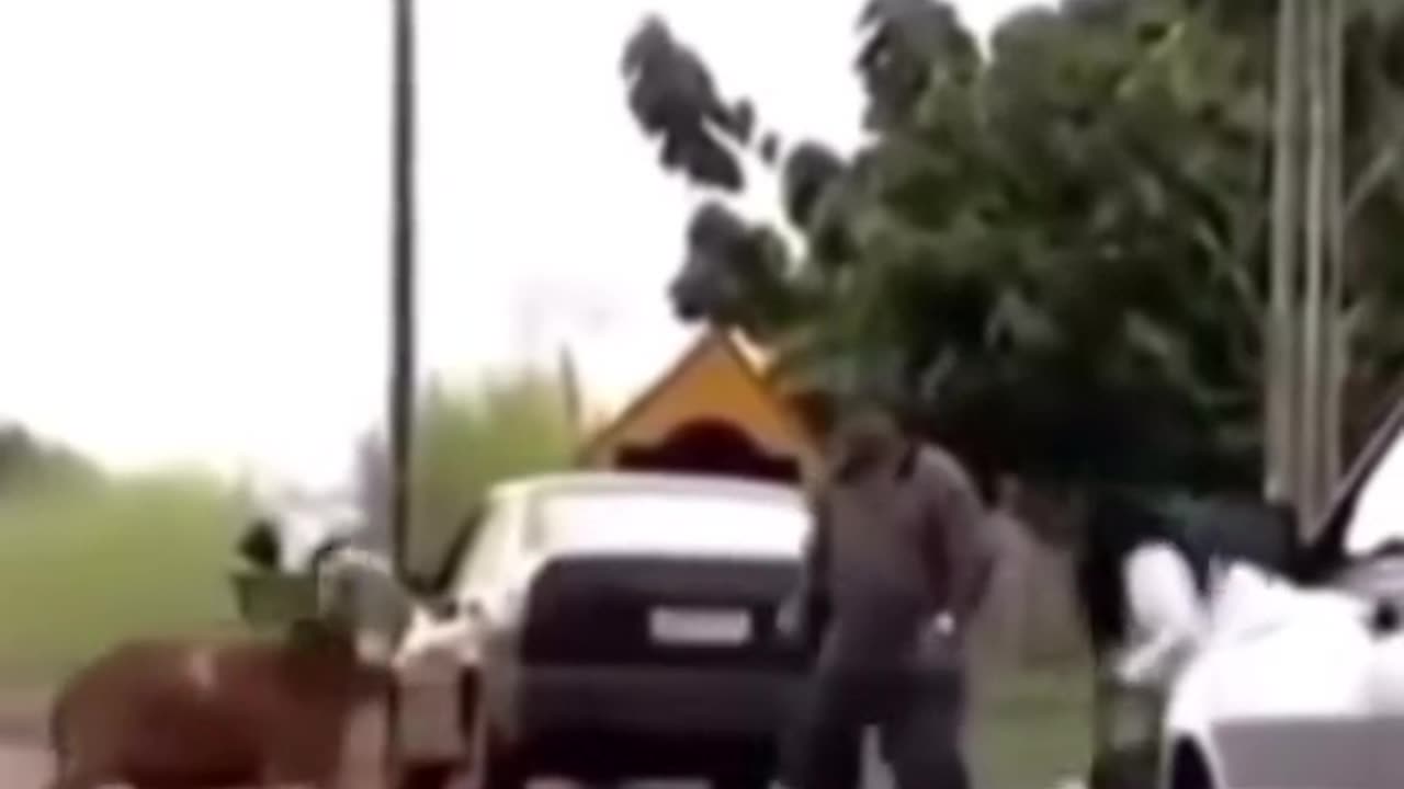 Don't mess with maaa!