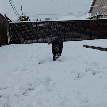 First snow for my little girl 👇 See the Description for a Surprise!