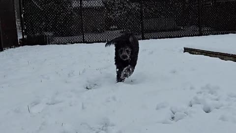 First snow for my little girl 👇 See the Description for a Surprise!