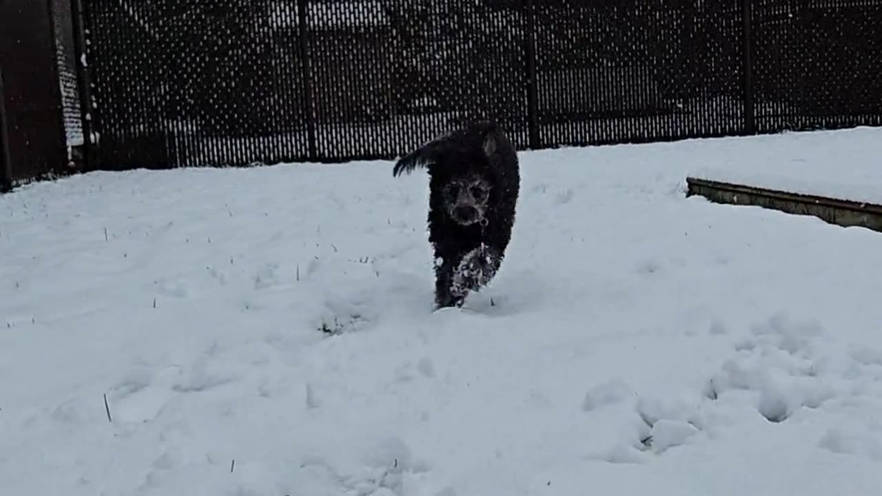 First snow for my little girl 👇 See the Description for a Surprise!