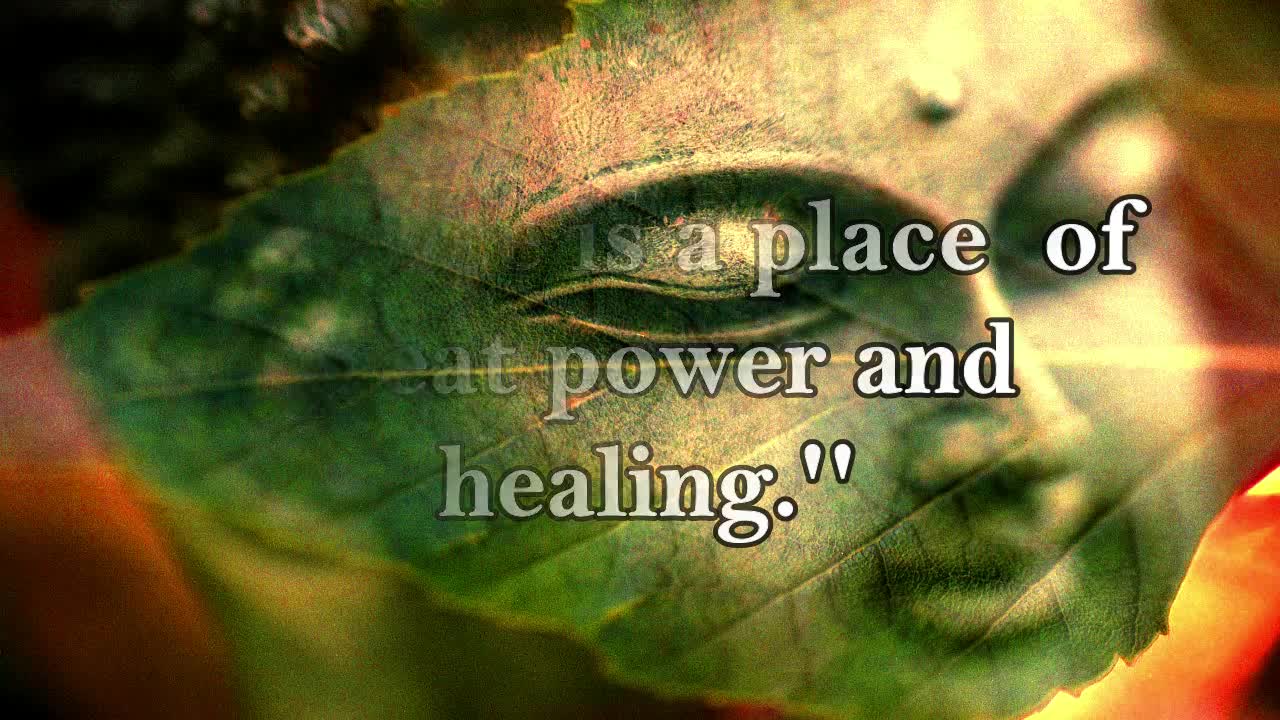 Healing Life Quotes To Help You Heal