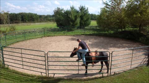 Mounting and dismounting a horse from the fence.