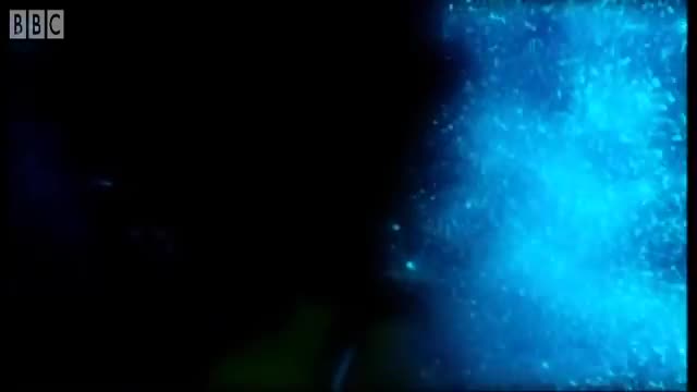 Deep Sea Creatures Exhibit Bioluminescence | Blue Planet | BBC Earth