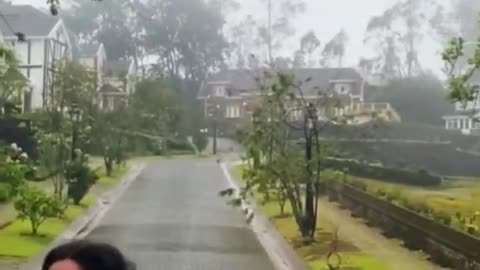 Misty hills , Sri Lanka