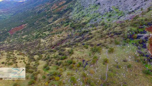 Wild Iraq 4K | Official Trailer