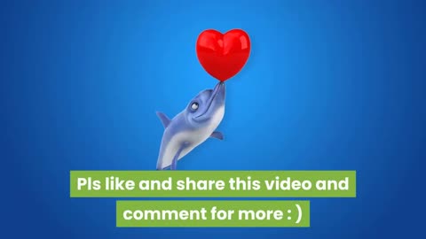 cute dolpin dance