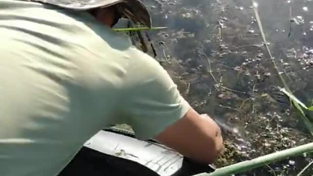 New primitive technology. Old methods in a new way v.15