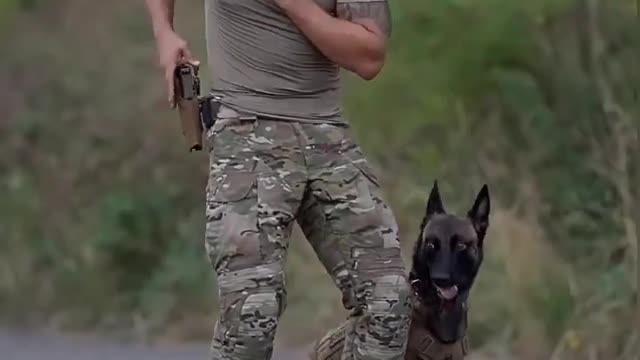 Army Dog with gun