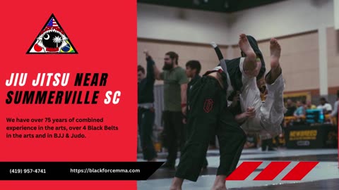 Top-Rated Jiu Jitsu Services Near Summerville, SC