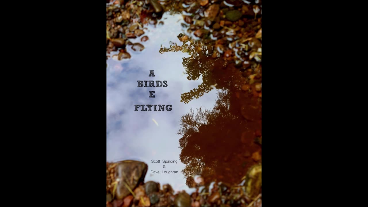 SONG | Birds Are Flying | Scott Spalding