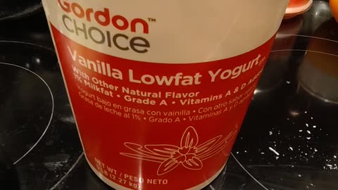 Eating Gordon Choice Vanilla Lowfat Yogurt, Dbn, MI, 1/1/24