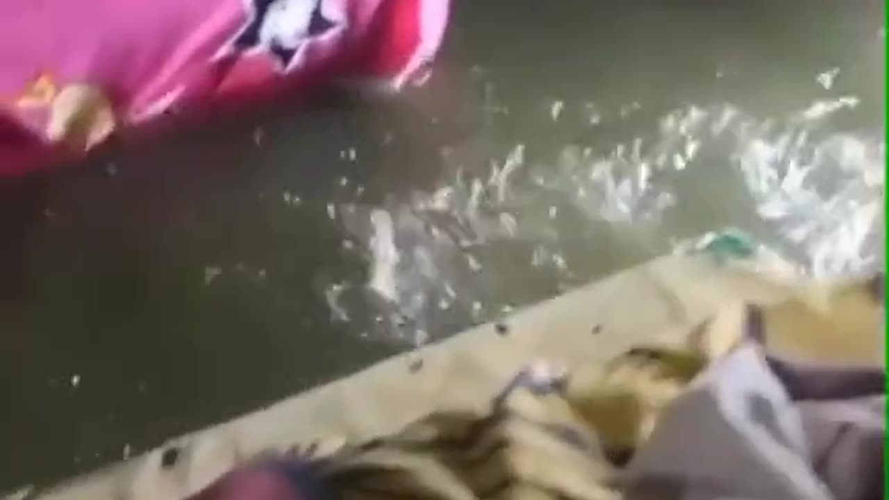 Fishing From Your Bedroom