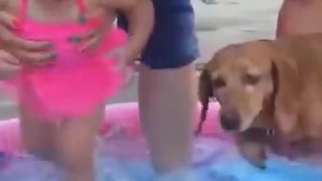 Funny cute dog with cute kid! - Adorable !