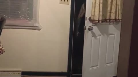 Man walks in with guns someone farts