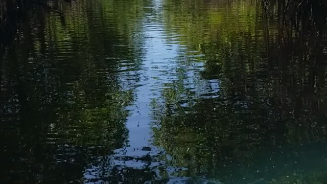 Fan boat Ride in FL