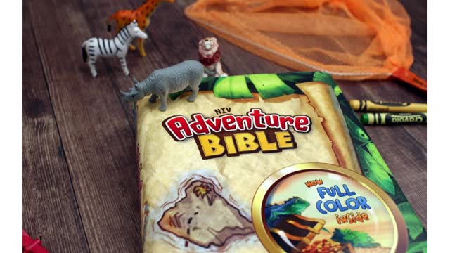 The New International Version Hardcover Adventure Bible in Full Color For Kids