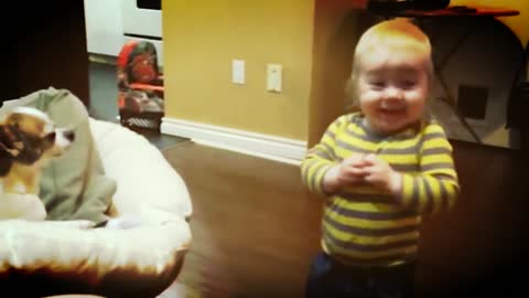 A very funny dog ​​and child accident