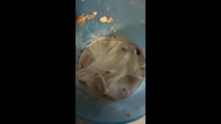 Making a Copycat DQ Blizzard at Home