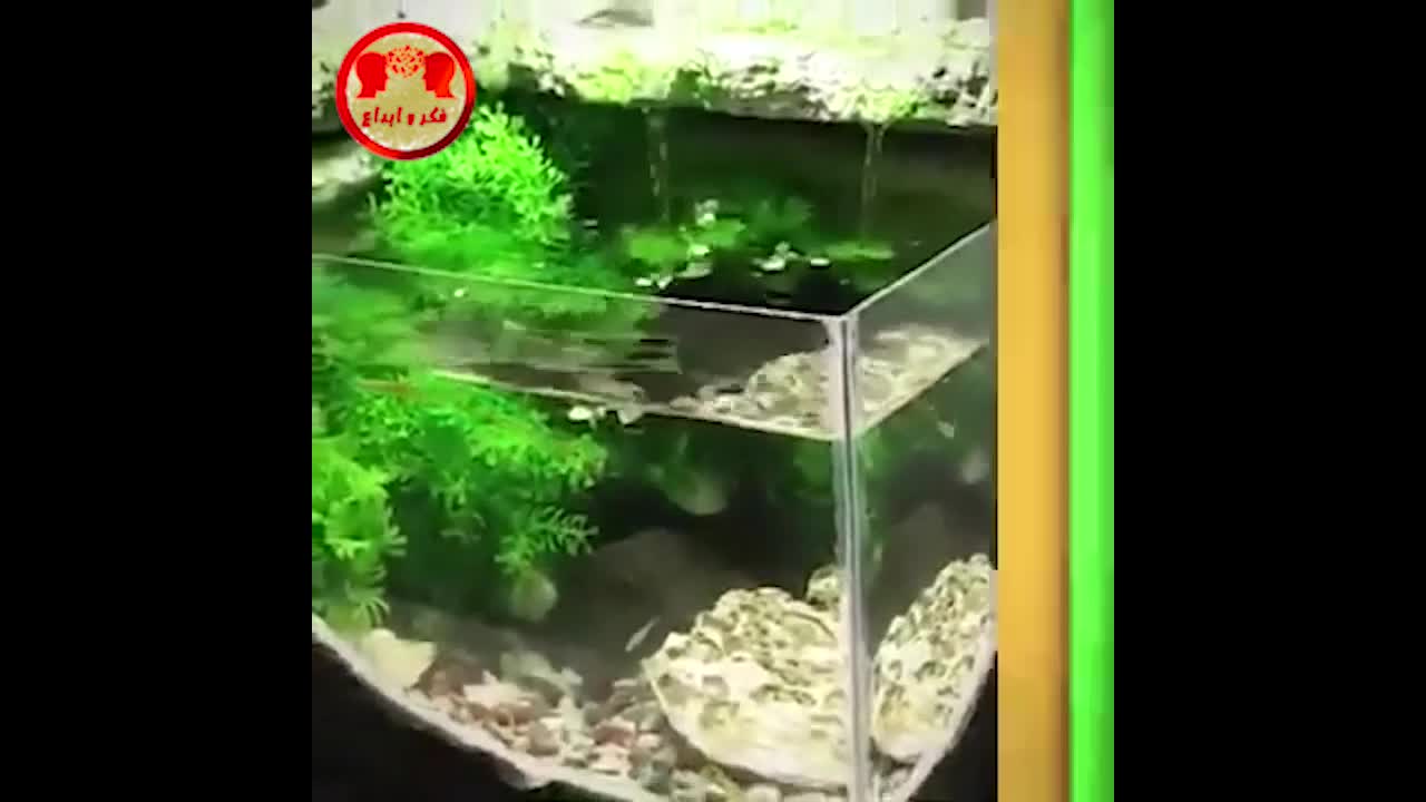 Making a fish tank with cork material, with simple supplies that are available in every home