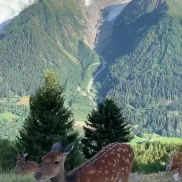 Amazing nature video from Indian Himalayas valley , what a natural view never seen before