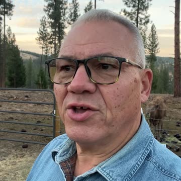 Good Morning from McKenzie Mountain 10-20-24