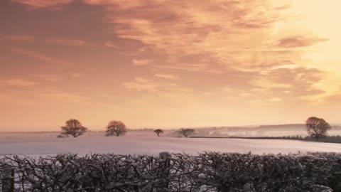 Brittonian - Winter Snow covered fields in Gateshead, England (2013)