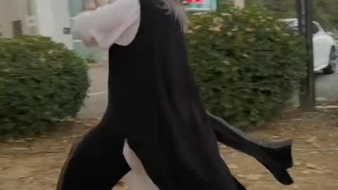 Wudang Xuanwu fist of Chinese Kung Fu