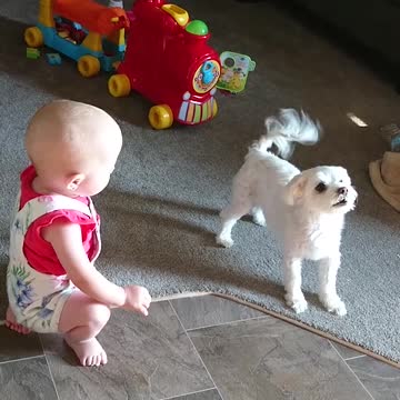 Cute Puppy and Adorable Baby Have Amazing Conversation Speaking The Same Language
