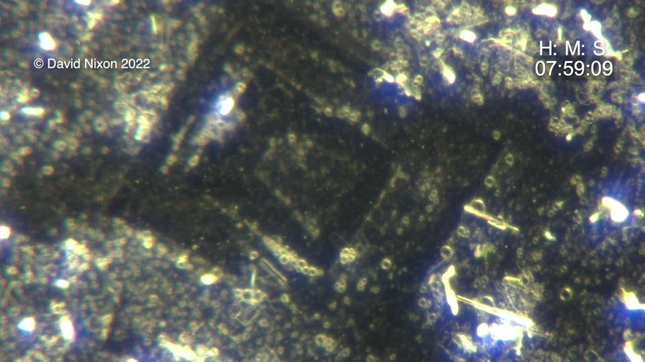 Morphing structure in sample of Pfizer Cominarty