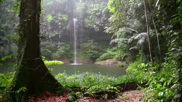 #Relax in forest near waterfall with #sound of birds and #rain