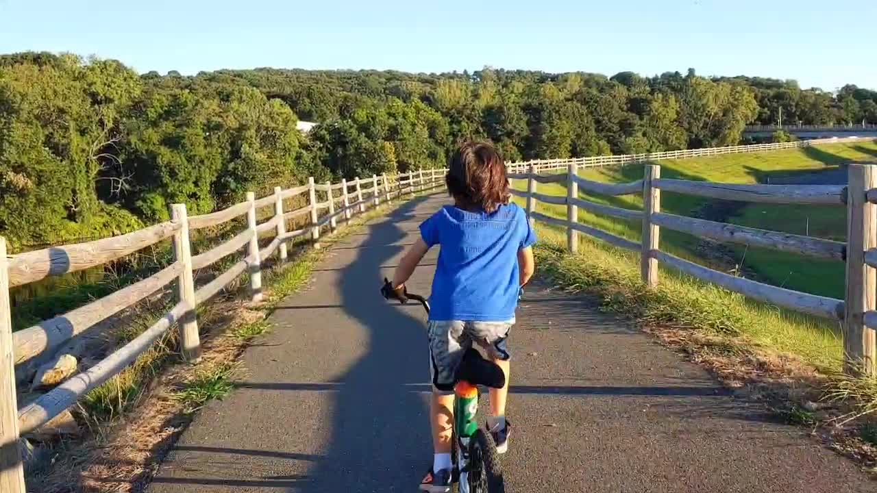 Little boy with his bike