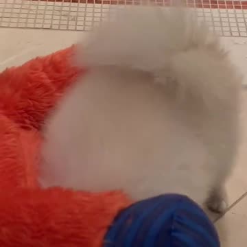 20190207文贵先生视频²：Snow 在咬王妓山．孟建柱．孙力军的蛋蛋！