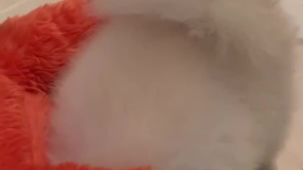 20190207文贵先生视频²:Snow 在咬王妓山.孟建柱.孙力军的蛋蛋!