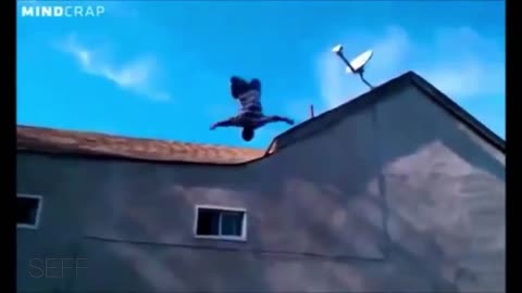 Black people be like meme