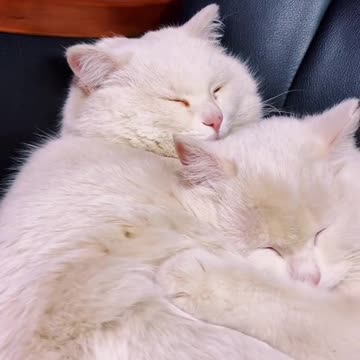 Lucky twice in your life to meet you once, once to