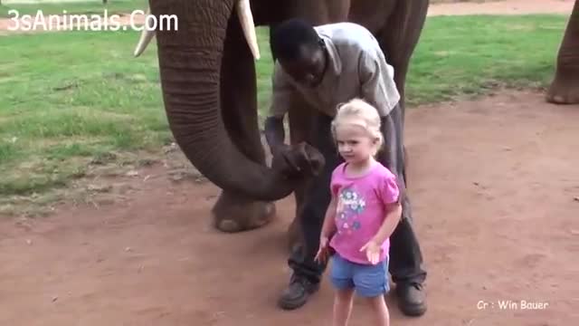πΆπ± Funny Cat And Dog Videos - Try Not To Laugh π€£π€£ | Super pets