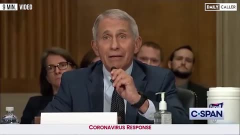 CNN Guest Stuns Hosts And Tears Into Media ‘Fangirling’ For Fauci