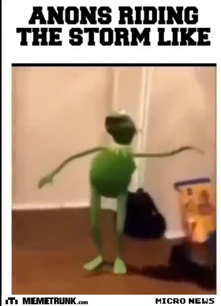 Anons riding the storm like🐸