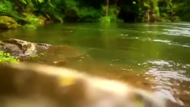 Time with God - July 25