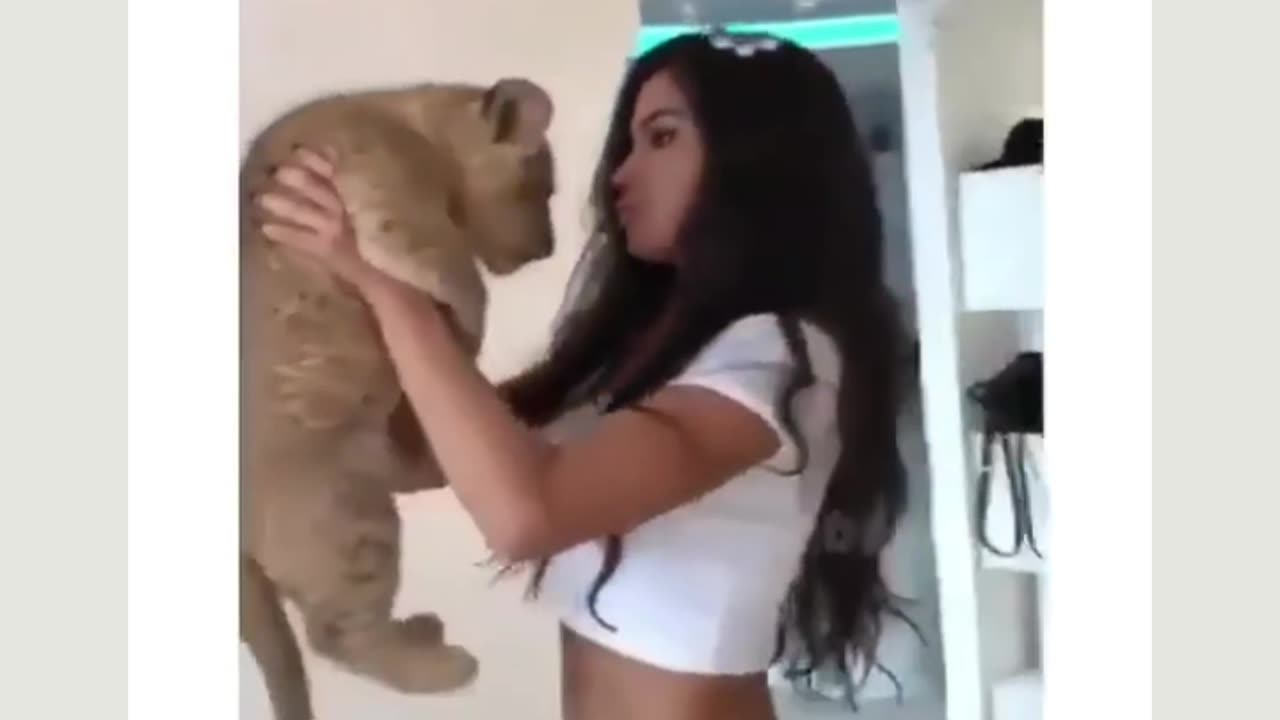 Funny animal