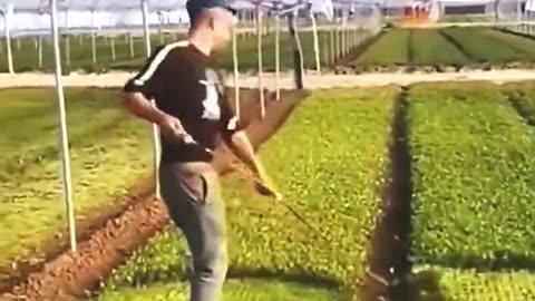 Be The Best At Mundane Tasks