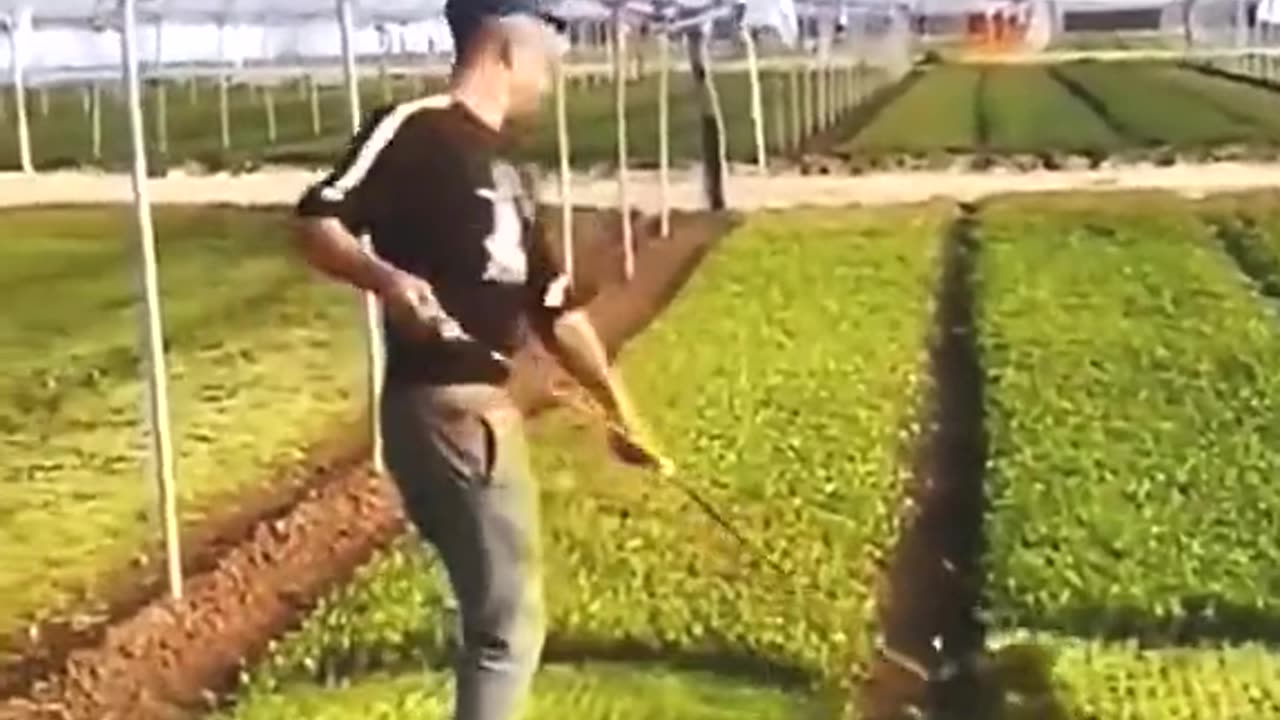 Be The Best At Mundane Tasks