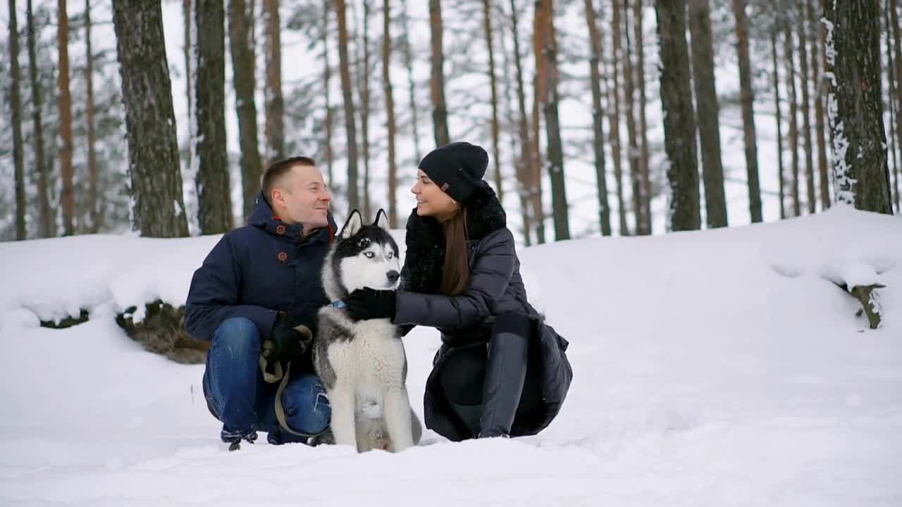 Family portrait of cute happy couple hugging with their alaskan malamute dog licking man's face