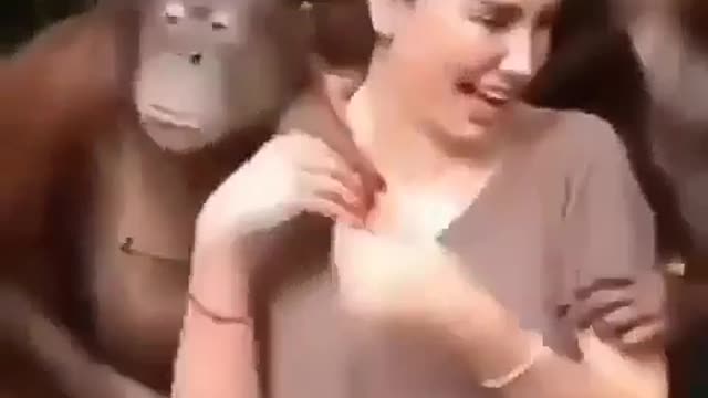 funy video