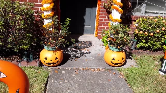 2019 Halloween Display Daytime