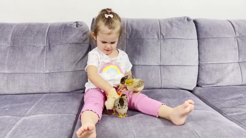 Adorable_Baby_Girl_Gives_Baby_Chicks_to_Drink_Water