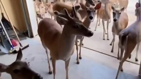 Line up and walk together