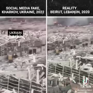 STOP FALLING FOR FAKE NEWS